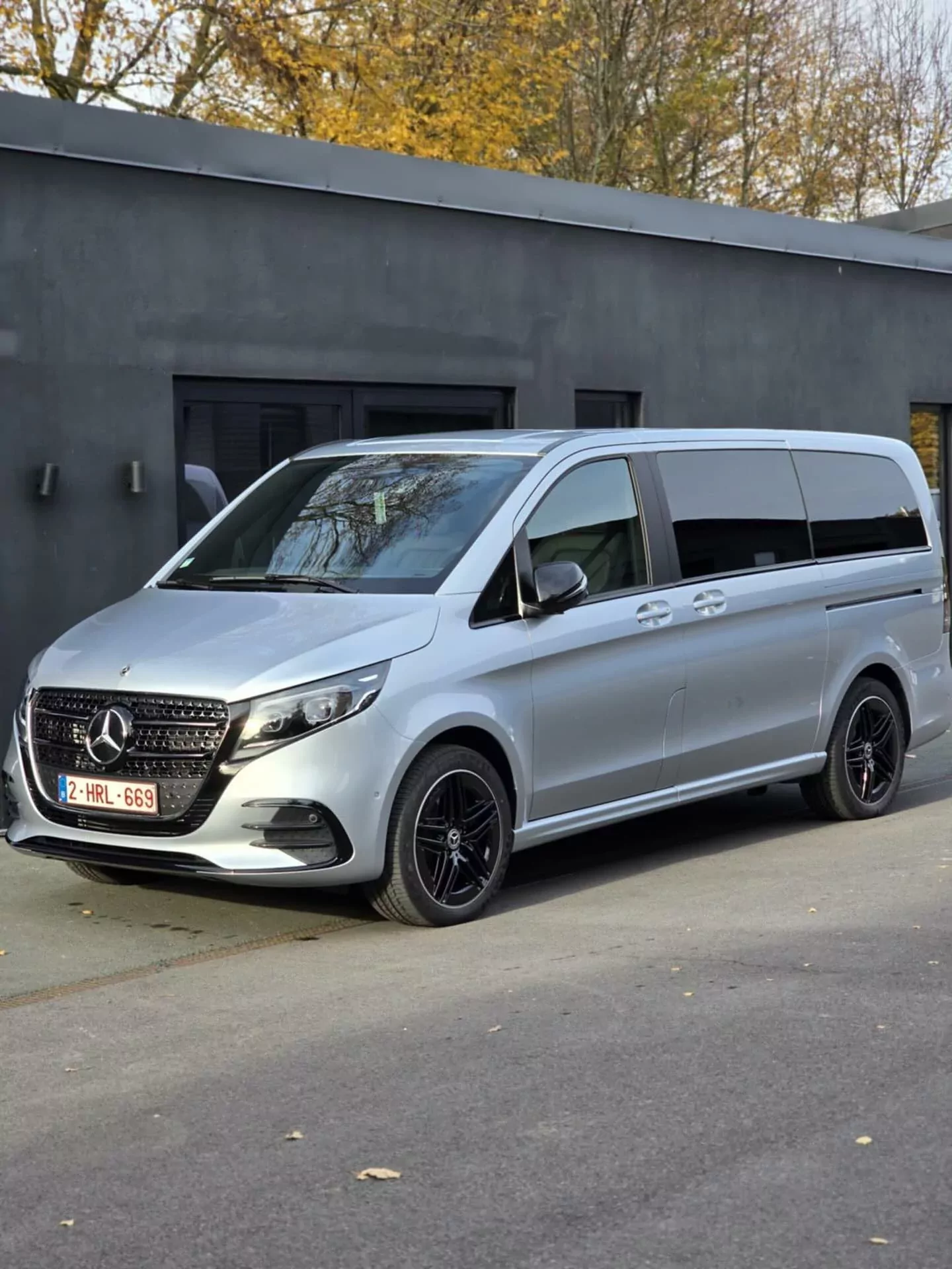 Utilitaire : Mercedes Classe V gris nettoyé, carrosserie et jantes