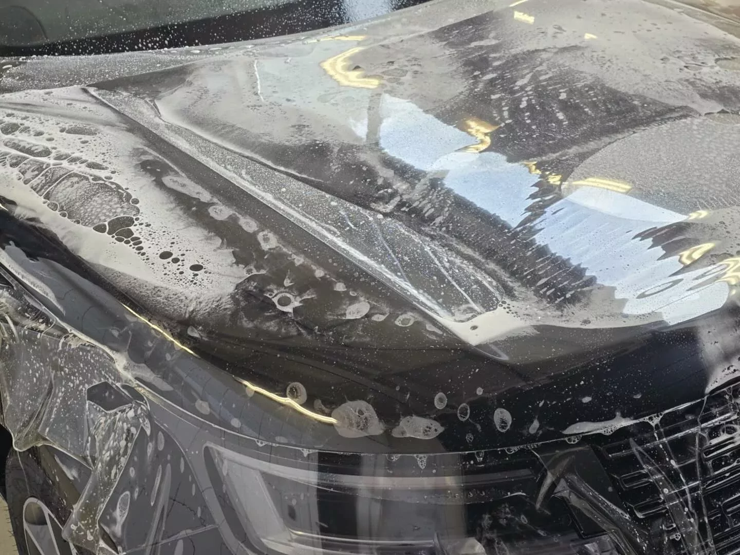 Capot de Range Rover pendant la décontamination, eau perlée